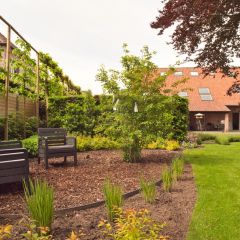 Th 30755275811 1096x822