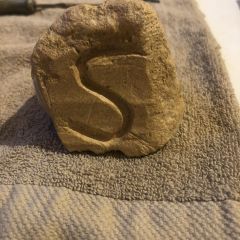 484321669 958911726400224 3427297623740039464 n